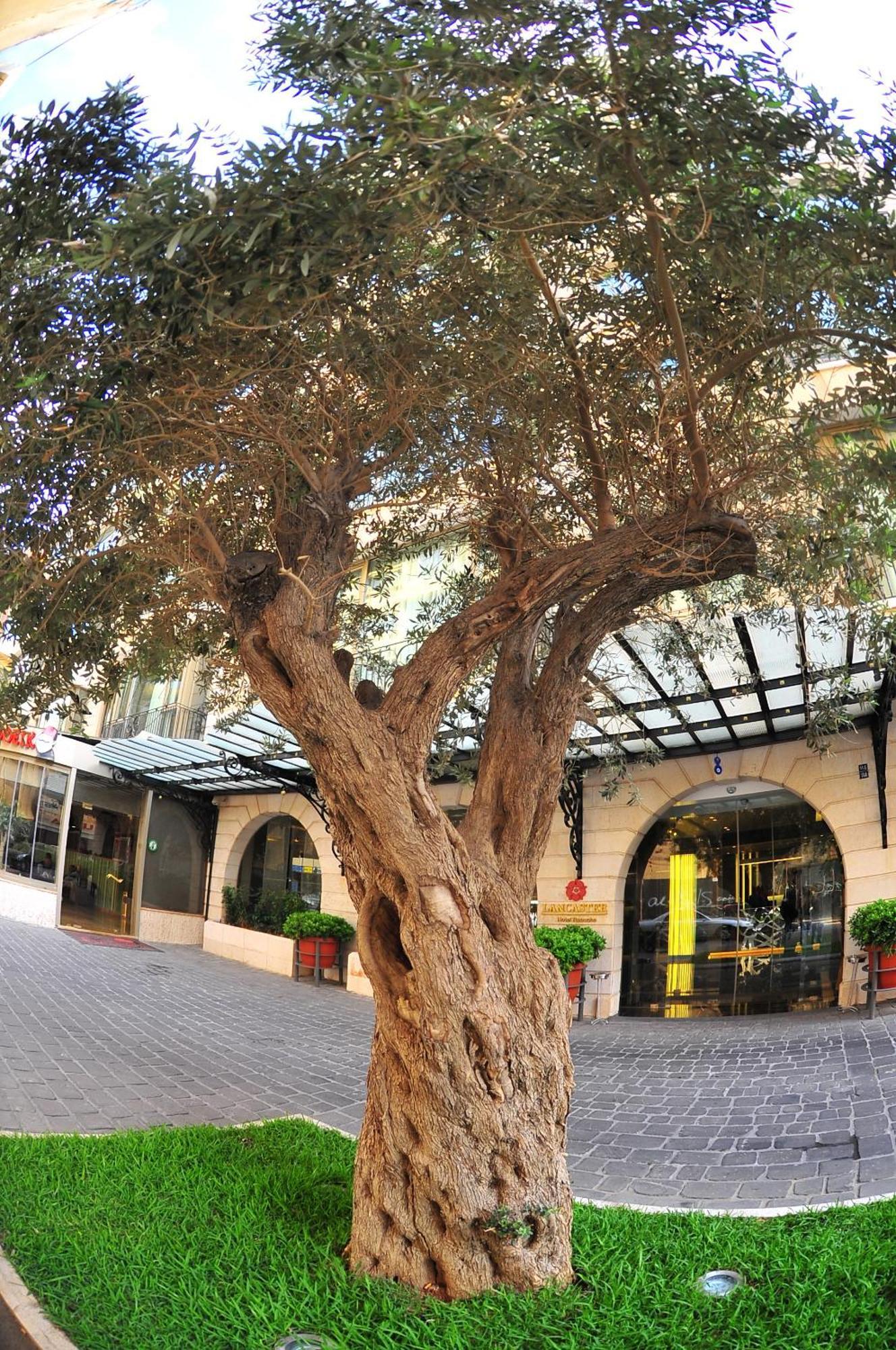 Lancaster Raouche Hotel Beirut Bagian luar foto